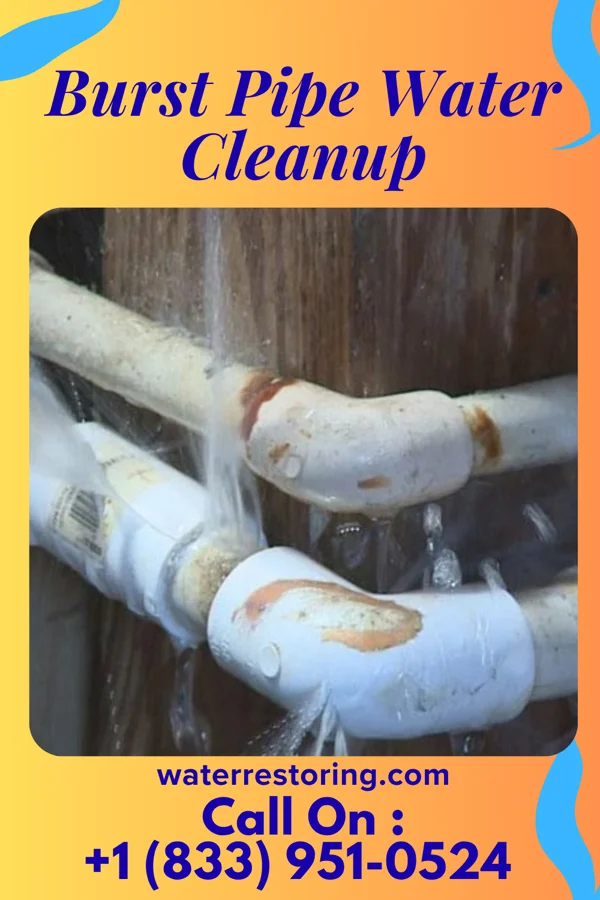 Burst Pipe Water Cleanup in Newton Falls, OH