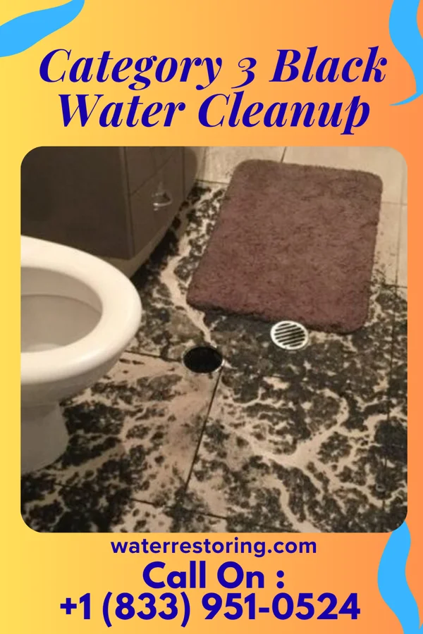 Category 3 Black Water Cleanup in Newton Falls, OH