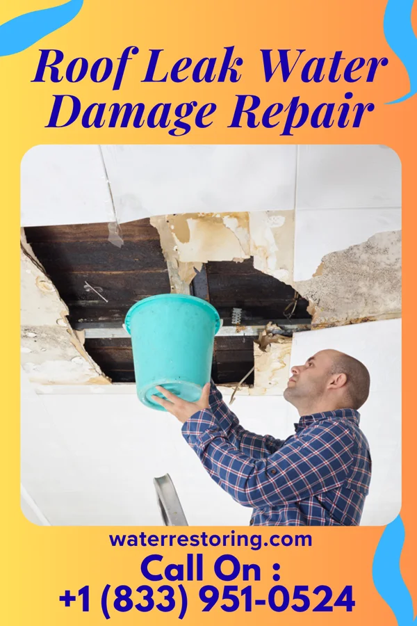 Roof Leak Water Damage Repair in Newton Falls, OH
