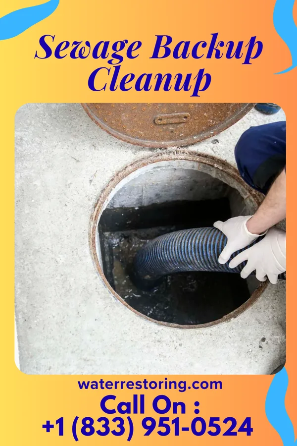 Sewage Backup Cleanup in Newton Falls, OH