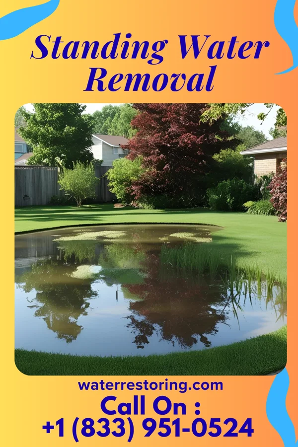 Standing Water Removal in Newton Falls, OH